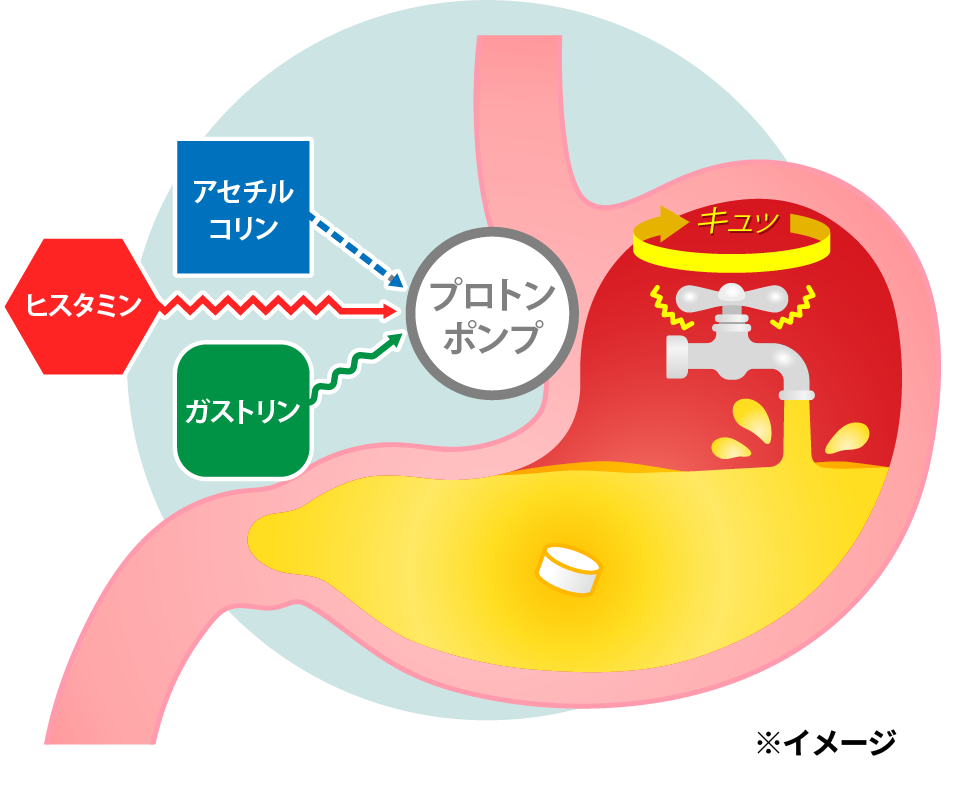 プロトンポンプ阻害薬成分が胃酸分泌を抑制