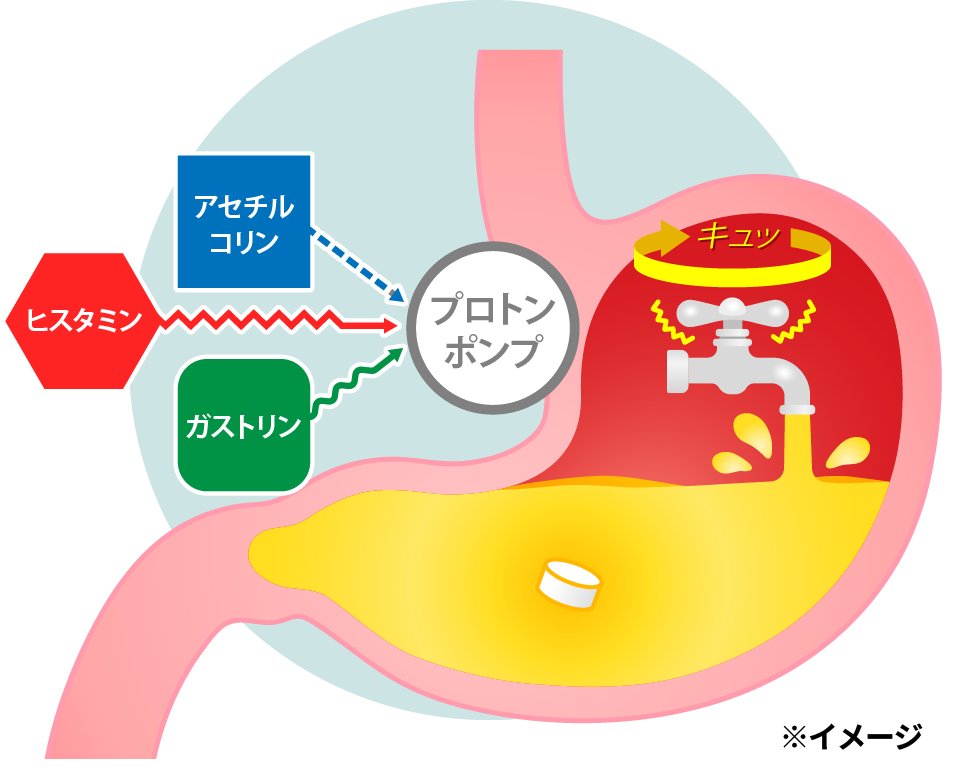 プロトンポンプ阻害薬成分が胃酸分泌を抑制