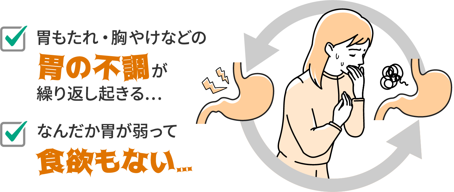 胃もたれ・胸やけなどの胃の不調が繰り返し起きる...なんだか胃が弱って食欲もない...