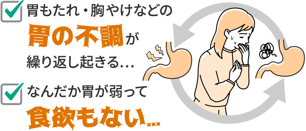 胃もたれ・胸やけなどの胃の不調が繰り返し起きる...なんだか胃が弱って食欲もない...
