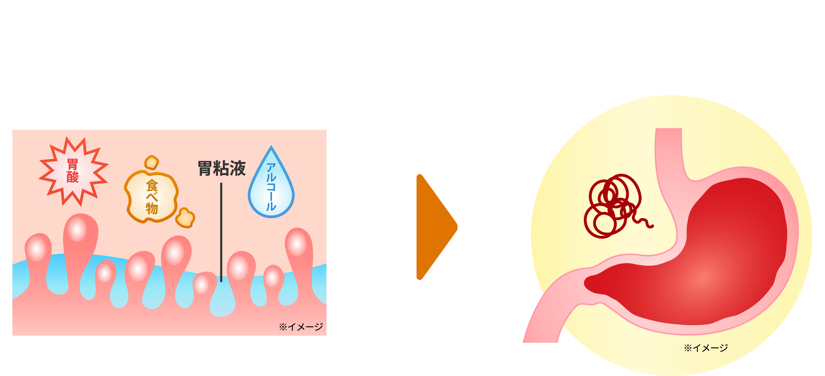 ※イメージ