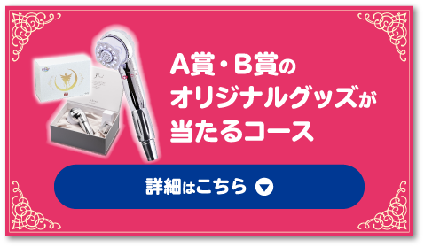 A賞・B賞のオリジナルグッズが当たるコース