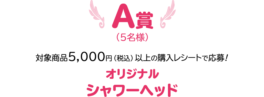 A賞 賞品名