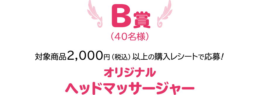 B賞 賞品名