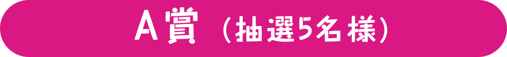 A賞(抽選5名様)